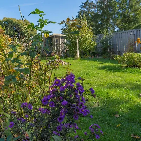 Olhoeft Mit Grossem Balkon * Bannemin