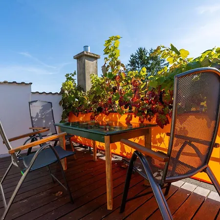 Olhoeft Mit Grossem Balkon アパート Bannemin