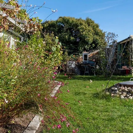 アパート Olhoeft Mit Grossem Balkon Bannemin