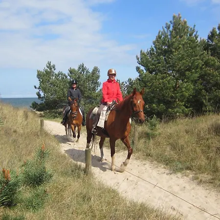 Olhoeft Mit Grossem Balkon *